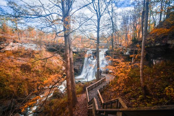 Brandywine Falls Autumn