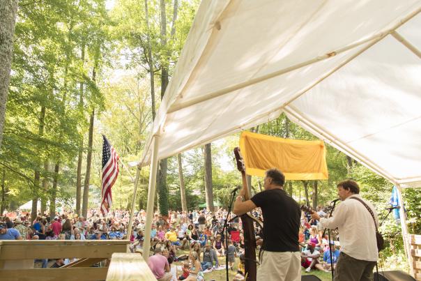 Arden Fair 2015