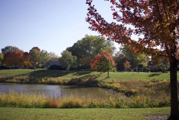 Lake Arlington in Autumn