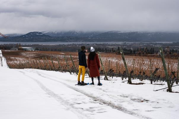 Snowshoeing at The View Winery Vineyard 4