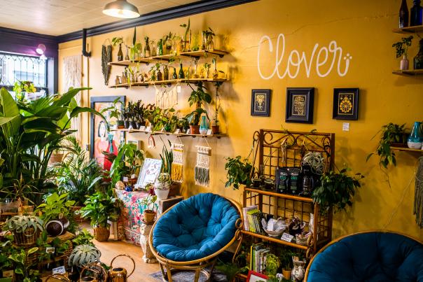 Clover Plant Shop