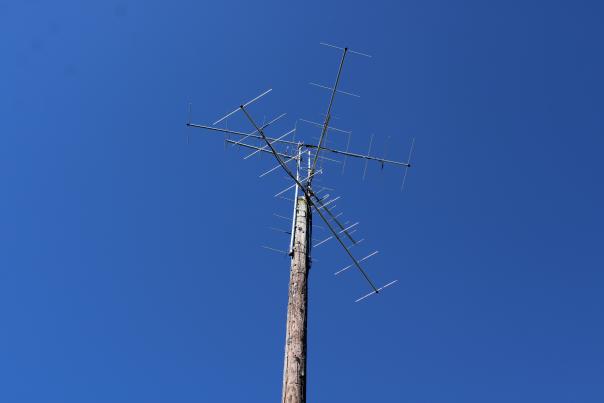 Motus Tower at Caw Caw Interpretive Center
