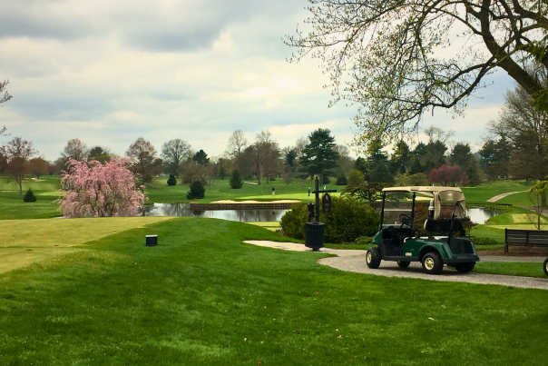 Golf course in the springtime