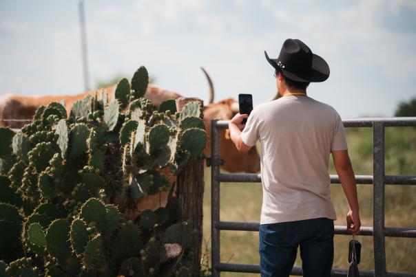 King Ranch