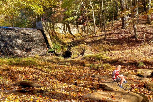 Kings Mountain State Park