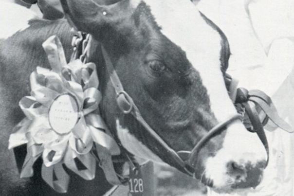 A Brief History of the Classic Auburn Nickname – “Cow College”