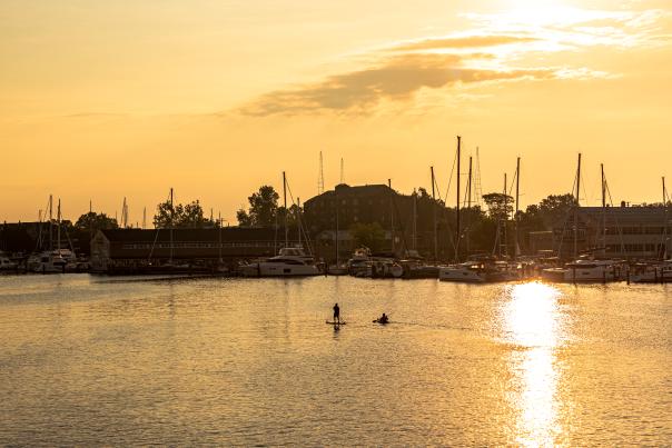 Woman on Paddle board