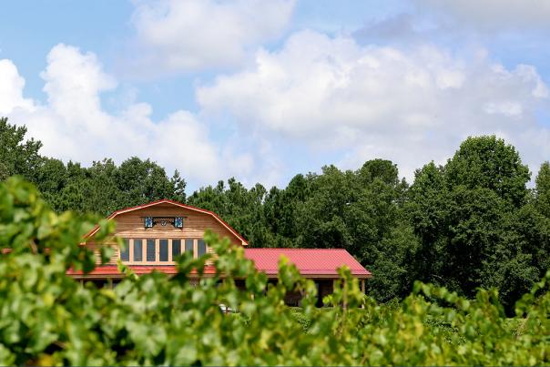 Building over the vineyards at Gregory Vineyards in Benson, NC.
