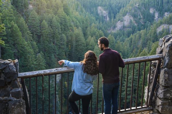 A couple stands against the railing on a cliff-side overlooking a forested canyon.