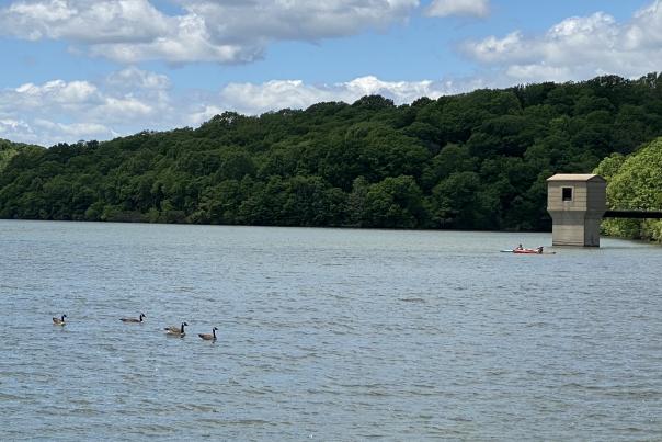 Wyandotte County Lake kayak