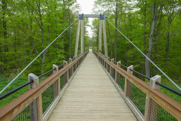 Grand Ravines Park in Jenison