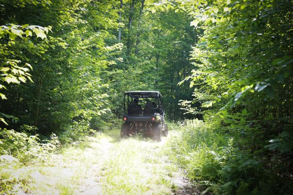 TrailCraft Off-Road Tour - UTV Driving on Grassy Path Through the Woods