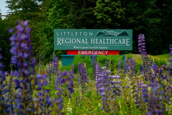 Lupines at Littleton Regional Healthcare