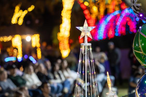 Reid Park Zoo Lights - star tree lit up with a crowd
