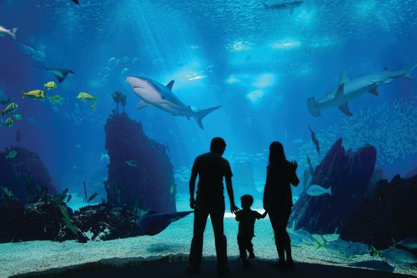 Family Friendly Attractions Pass