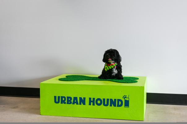 Urban Hound Dog Bar