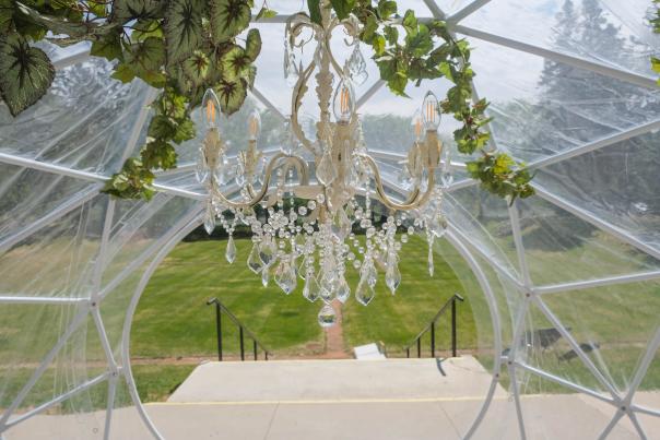 The view from transparent dome to the gardens with a chandelier in the foreground