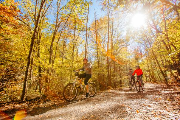 Virginia Creeper Trail