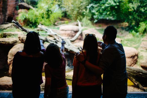 Zoo Guests