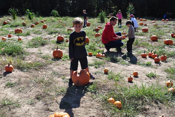 Smith's Farm pumpkin picking for kids in Benson, NC.