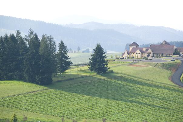 King Estate from Highest Point