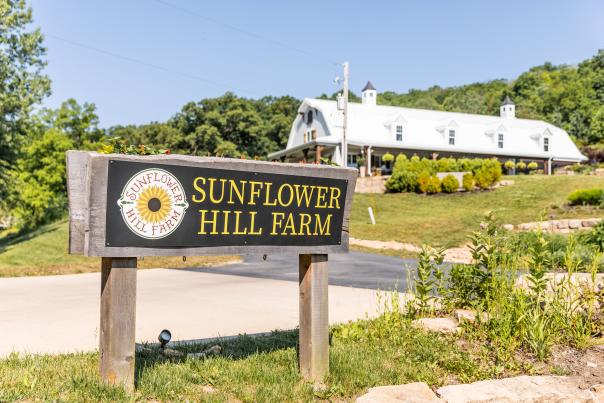 Sunflower Hill Farm