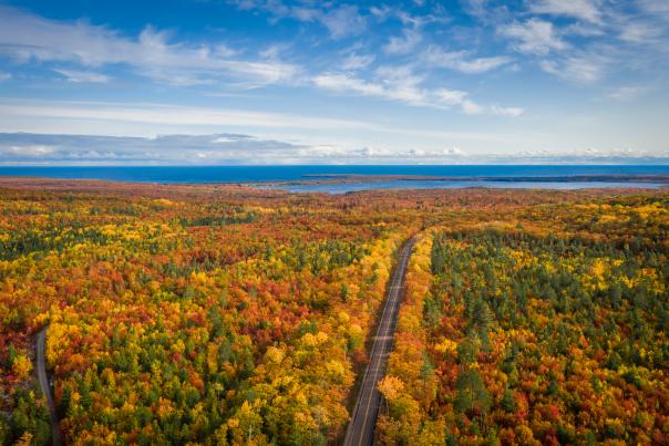 Fall Colors on County Road 510