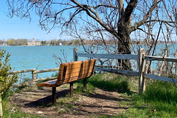 Massie Cliffside Preserve bench