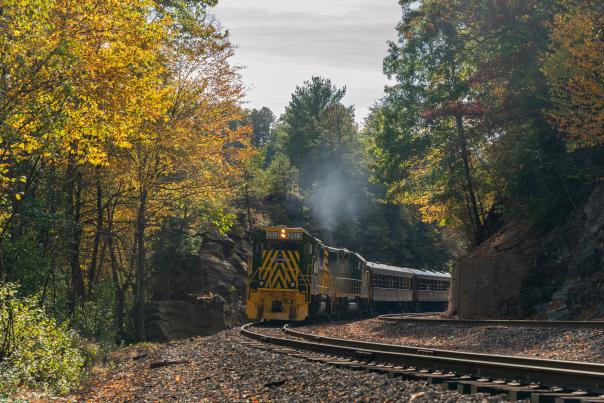 Take a stunning fall foliage train tour with Lehigh Gorge Scenic Railway.