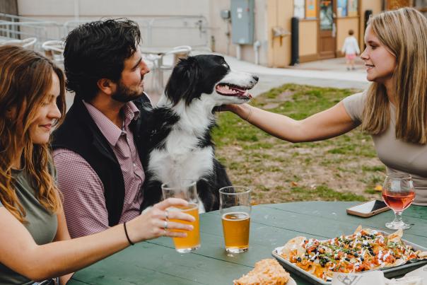 Bell's Brewery Pet Friendly