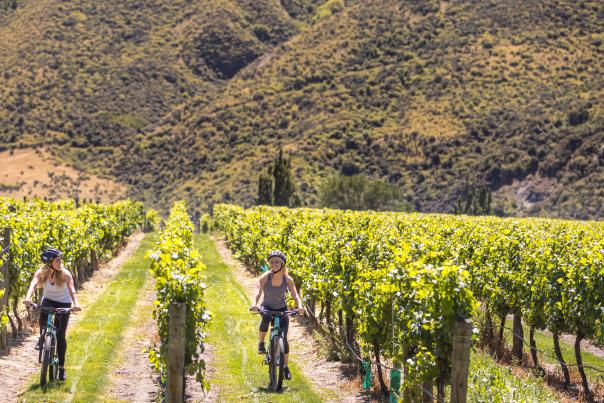 Friends biking through the vines in Gibbston