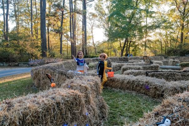 Fall Fun in Fayetteville