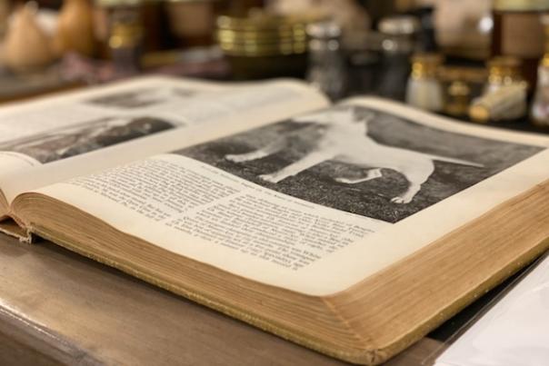 Open antique book on a table