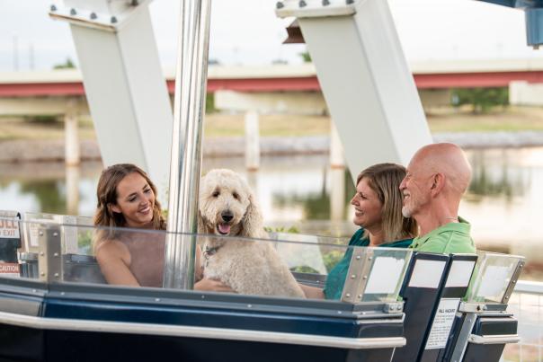 Wheeler District Ferris Wheel