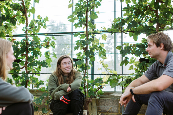3 people sat in a greenhouse.