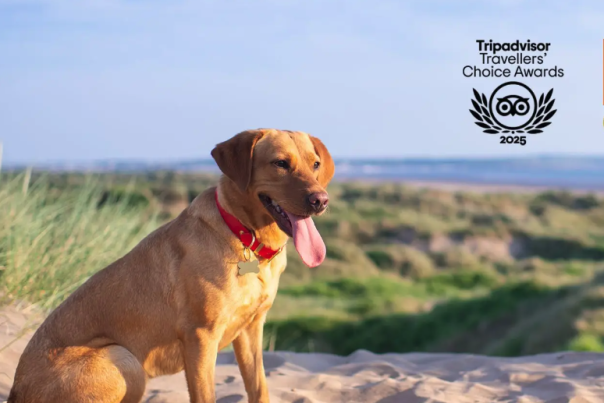 Saunton Beach Villas Wins Coveted Traveller’s Choice Award!