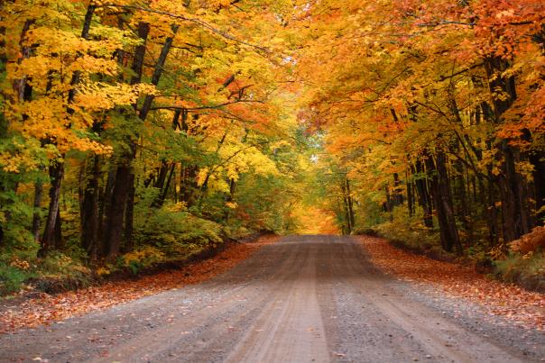 Image of a road canopied in trees painted with fall color in Big Bay, located in Michigan's Upper Peninsula, USA