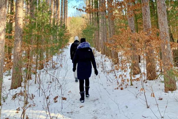 2 women in winter wear hike along snow covered path. They are flanked by rows of tall pines set agains a winter blue sky.