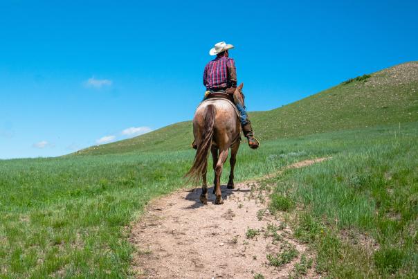 Pristine blue sky, green prairie foreground, man with cowboy hat seen from the back riding horse.