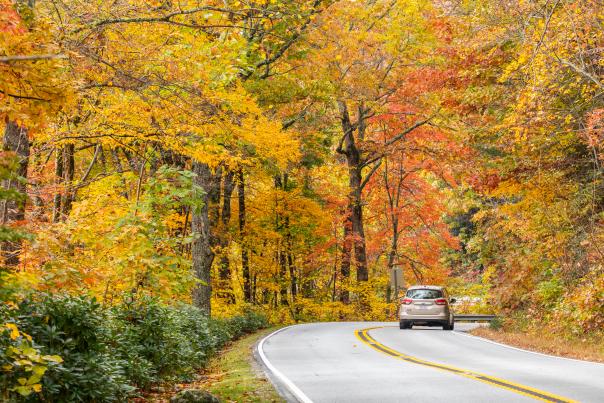 Fall Driving in Highlands