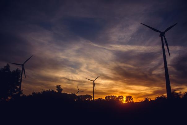A series of windmills in a filed with the sun setting behind them