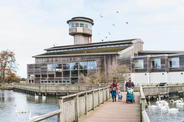 Family with push chair and toddler on the board walk at Slimbridge Wetland Centre
