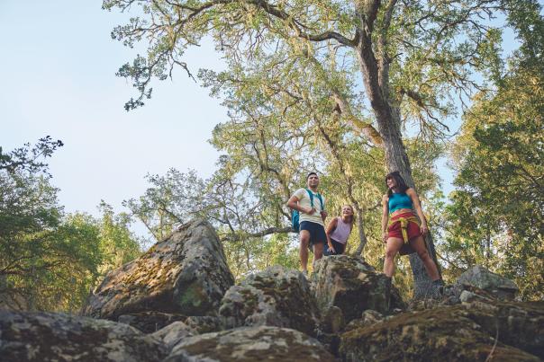 Friends hiking Three Bridges Oak Preserve