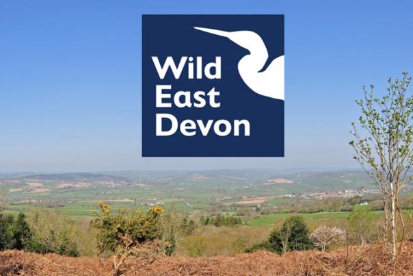 logo for wild east devon