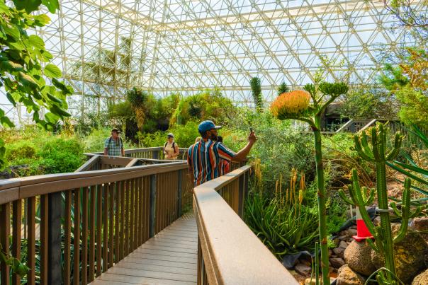 peoplw on a wooden walkway taking pictures of lush, green plant life off the path in the Biosphere 2