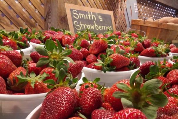 Buckets of perfectly red strawberries from Smith's Nursery in Benson, NC.