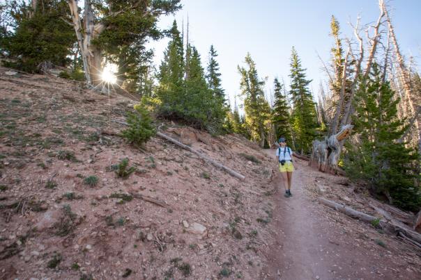 Hiking the Alpine Pond Trail - Cedar Breaks