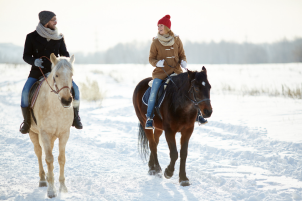Winter Horse Ride