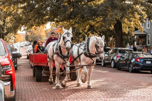 Horse Drawn Carriage Ride