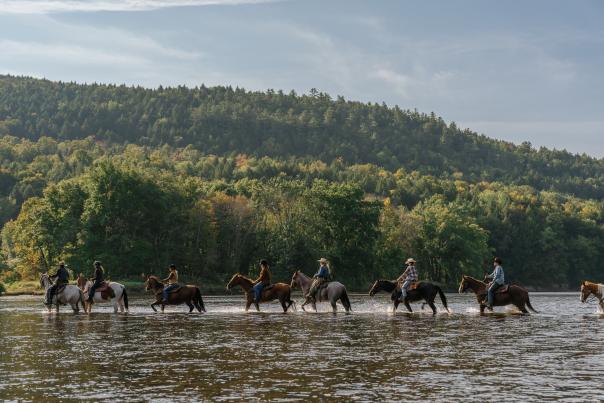 Horseback Riding